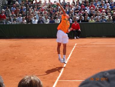 Roland Garros (fieldog)
