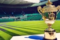 Wimbledon-Cup